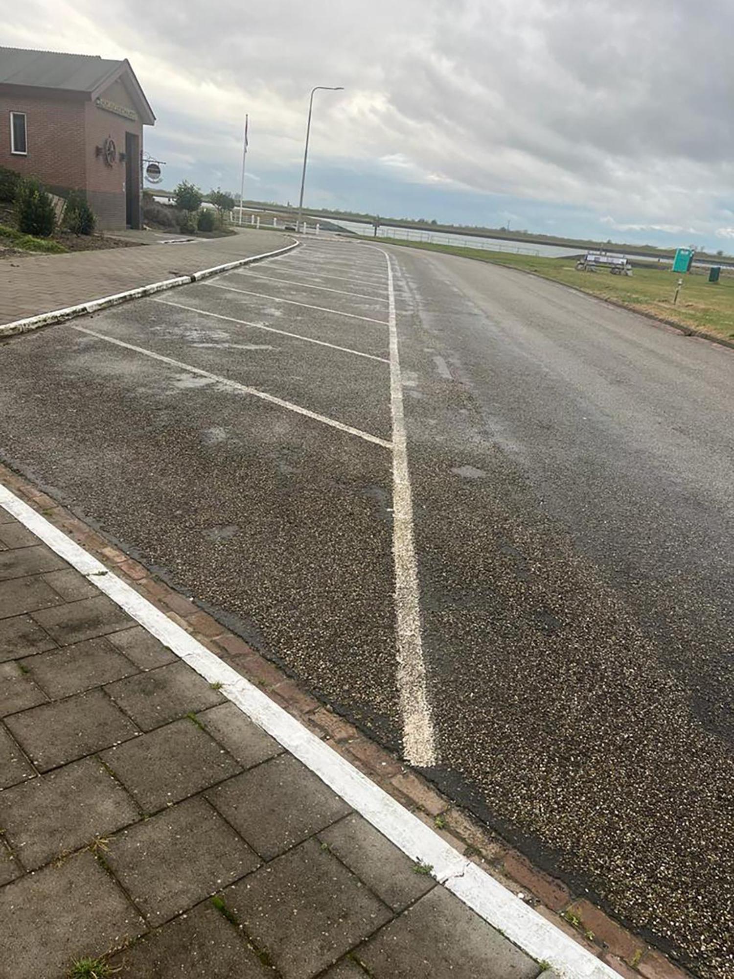 Residentie Oosterschelde 3*
